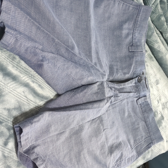 Banana Republic Other - Banana Republic Blue Flat Front Shorts